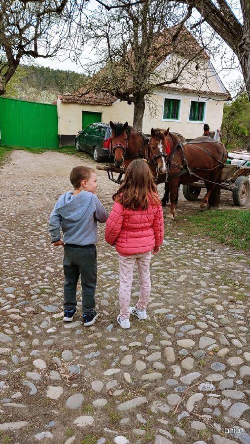 רומניה פסח 2019